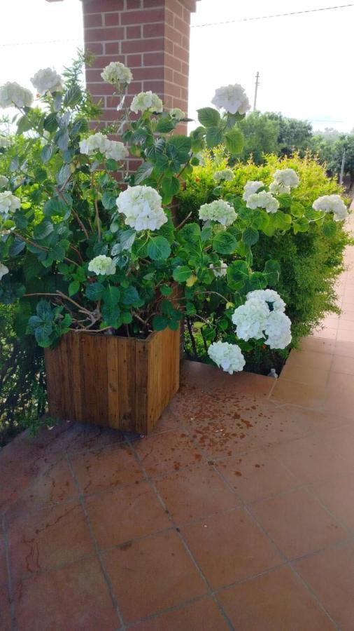 Villetta Giardino Degli Ulivi Ortona Exterior foto